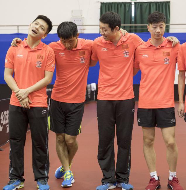 日本队轻取奥地利队,许昕扛起全队 日本队轻取奥地利队,许昕扛起全队