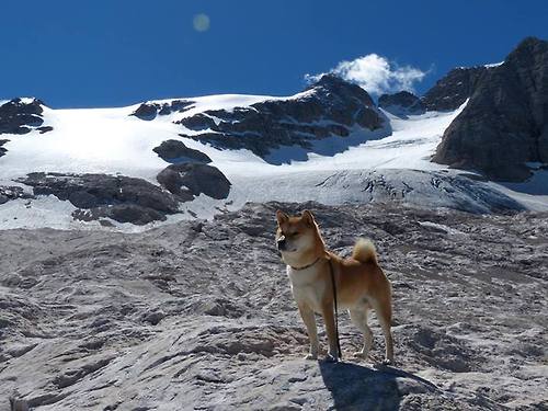 世界排名争夺战焦点战，山西队压哨绝杀快船，改写篮球格局