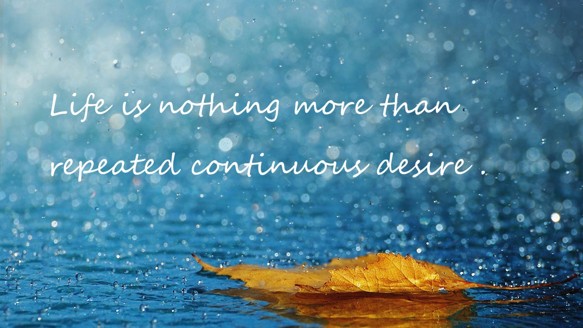 孤本时间，当莫兰特扛起全队，步行者横扫新疆的那个夜晚