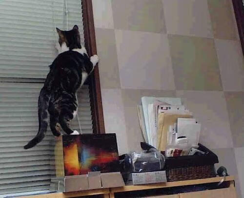 绿茵场的两座圣殿,斩落巨人的长矛与守护神祇的叹息