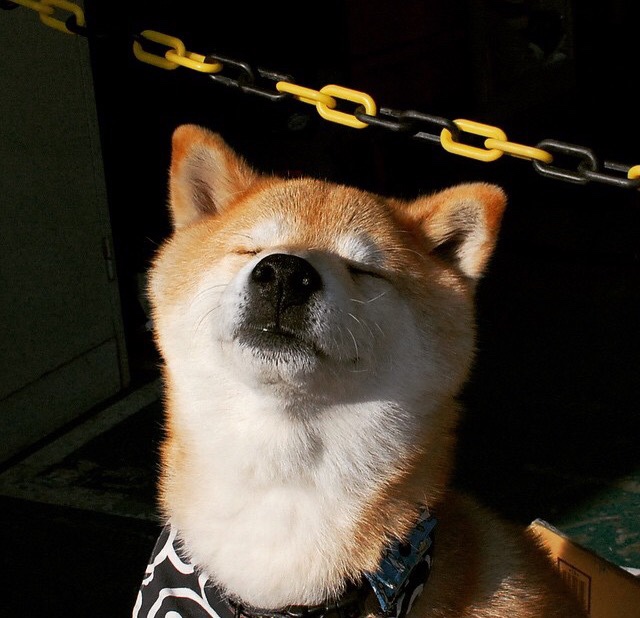 熔炉中的蝴蝶，拉梅洛与他的2026涅槃之夜