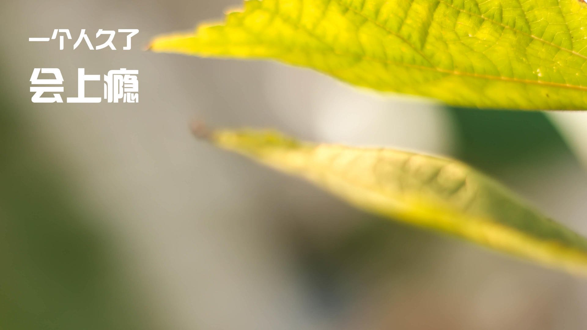 唯一性,当卢卡库一锤定音,AC米兰用最曼城的方式掀翻了曼城