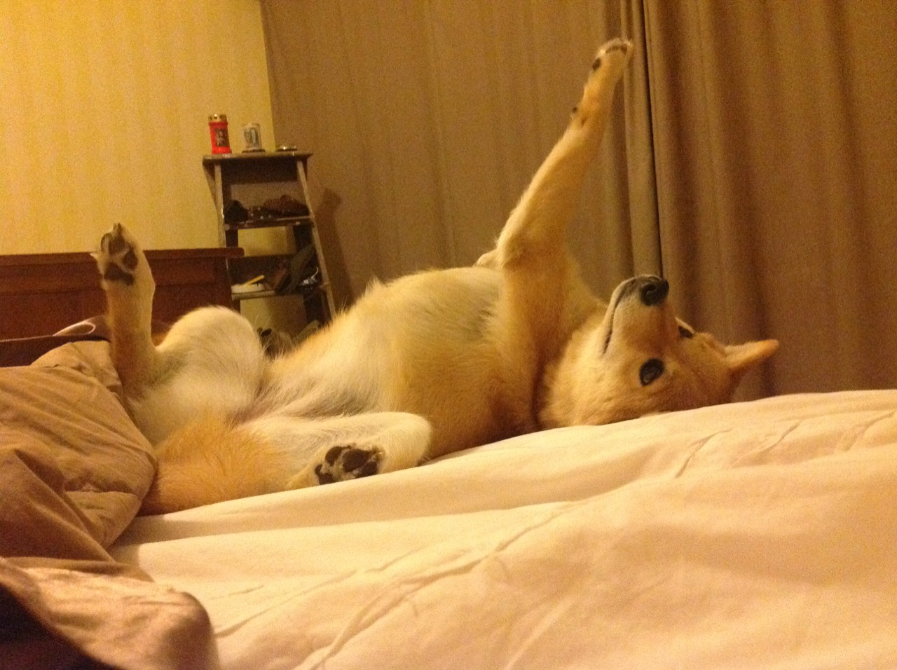 开云体育-卡塞米罗式大场面先生再现，尤文逆境怒吼逆转沙特强敌