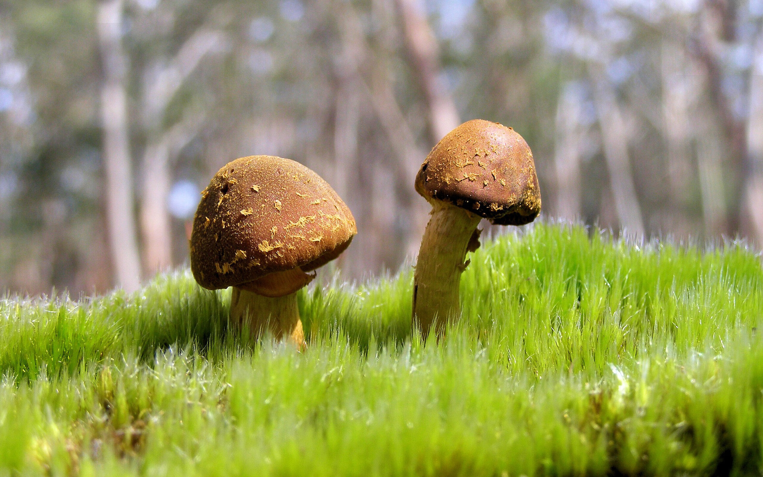 一剑封喉与一人镇场,英超争冠夜与恩比德的大场面密码