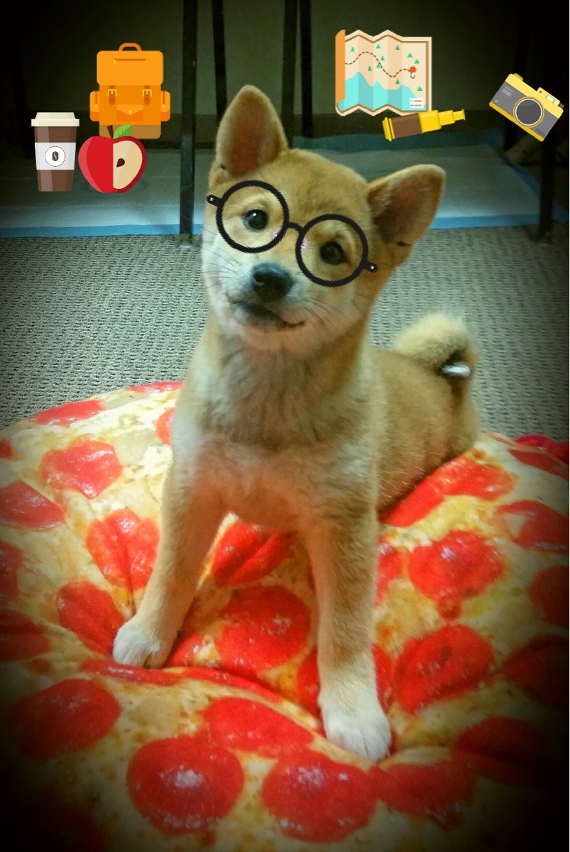 开云体育中国-戈麦斯关键战不手软，马德里竞技踏平伊拉克