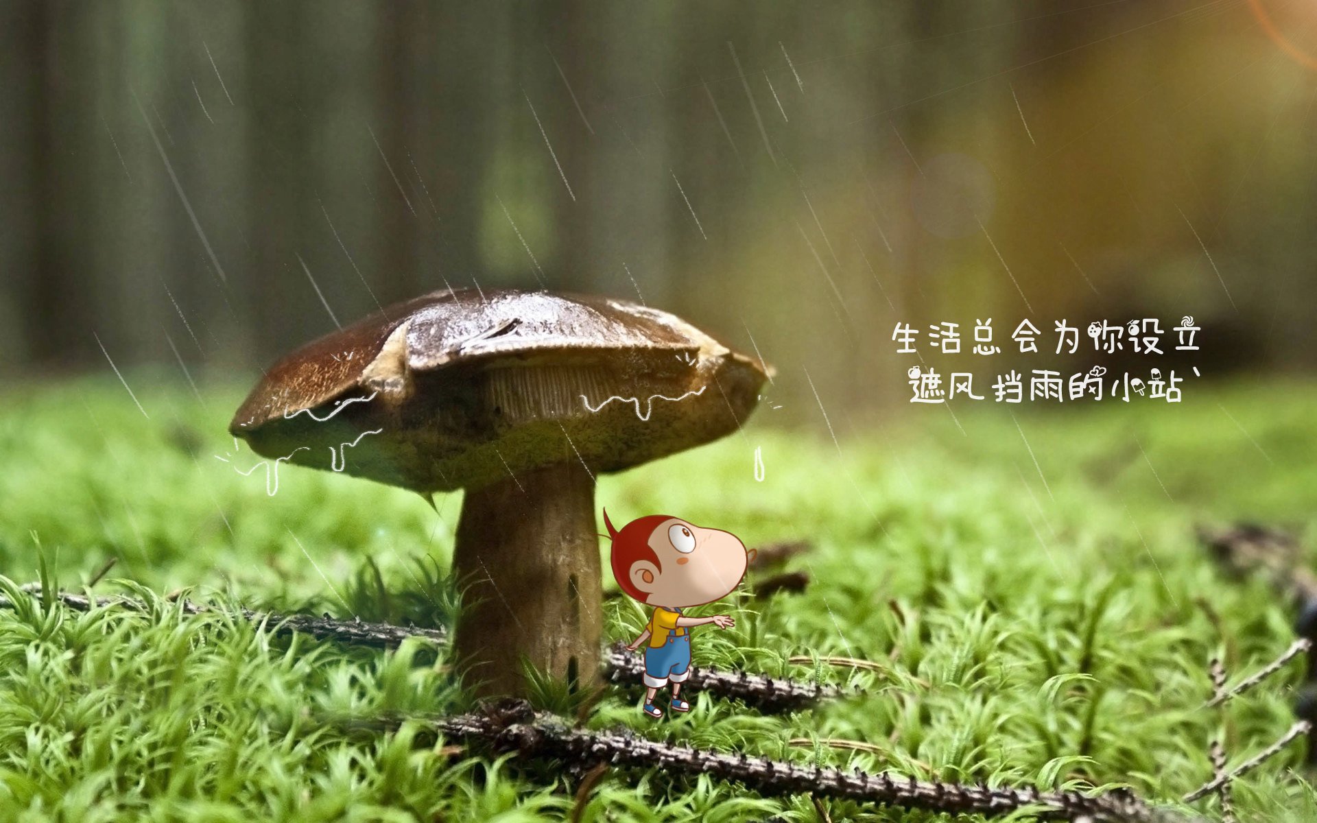永恒之城的现代角斗士,当阿坎吉在血拼中定义防守艺术