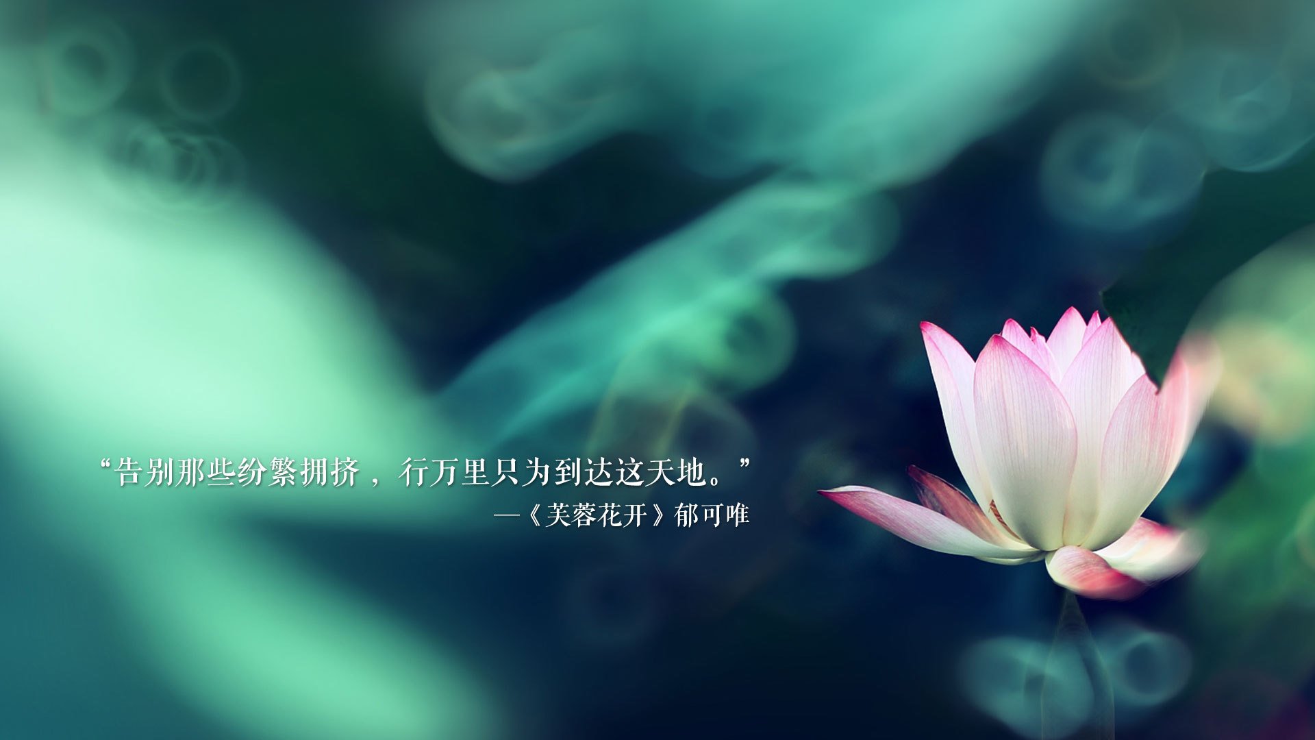 当安第斯山脉遇见波斯湾，2026世界杯C组，一场跨越南北半球的足球美学对决