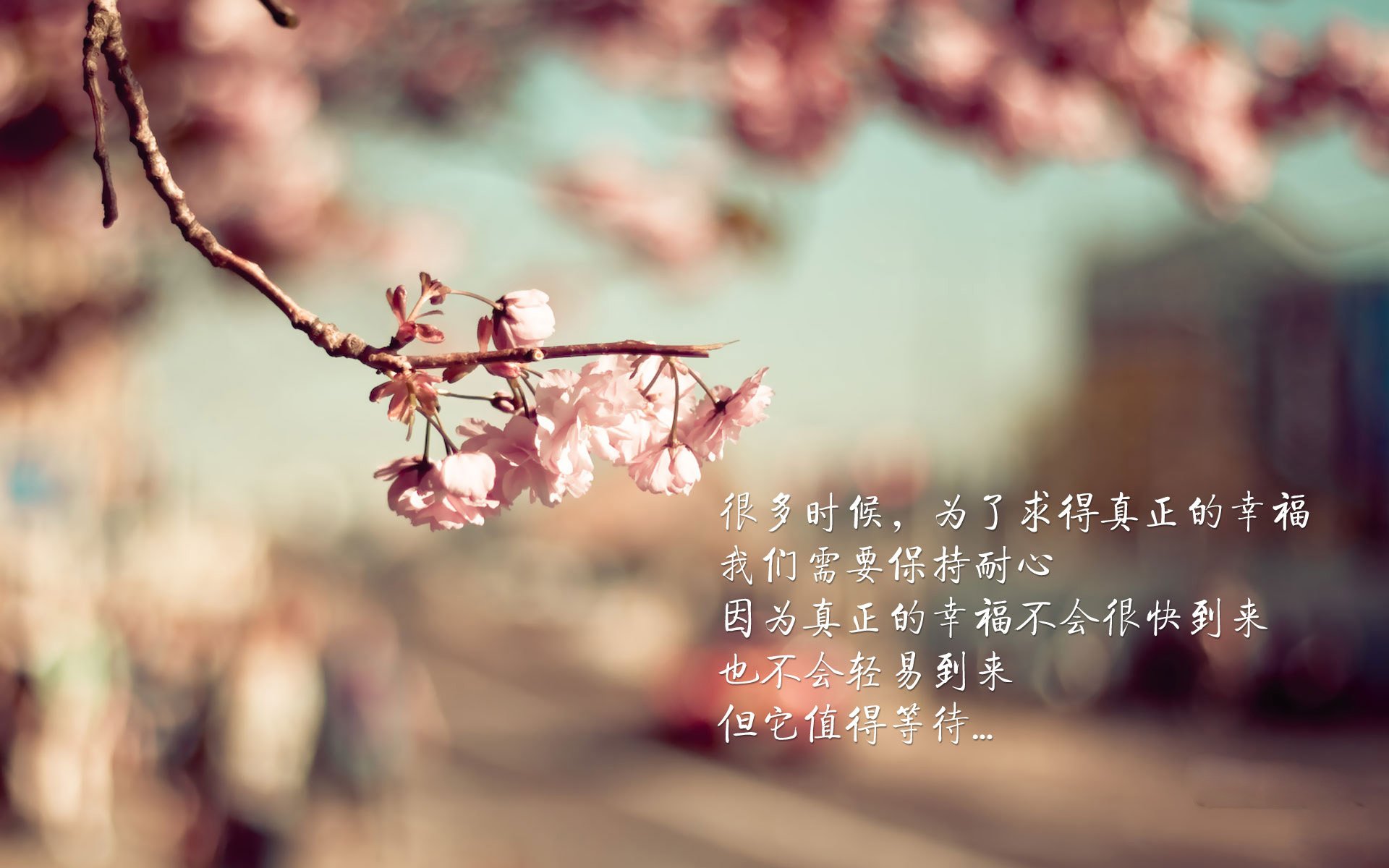 开云体育入口-亚细亚之刃刺穿高卢，2026世界杯黑马之战，三笘薰的致命一击如何让韩国险胜法国